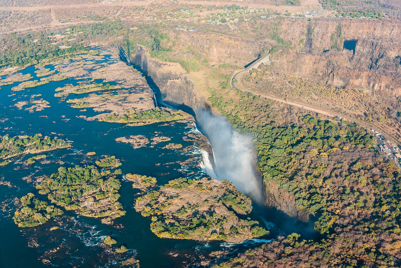 Immigration Consultants